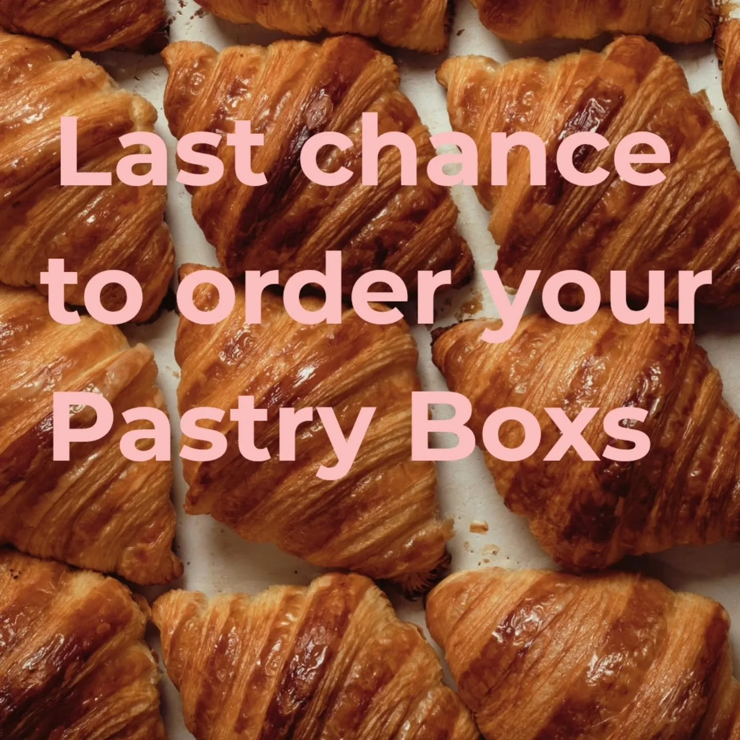 Pre-orders close end of day today so get your orders in while you still can. Thanks to those of you who have already ordered. Your support is appreciated ❤️🥐

Box includes:

🥐Dark chocolate coconut pain suisse 
🥐Cardamom Bun
🥐Everything bagel cro