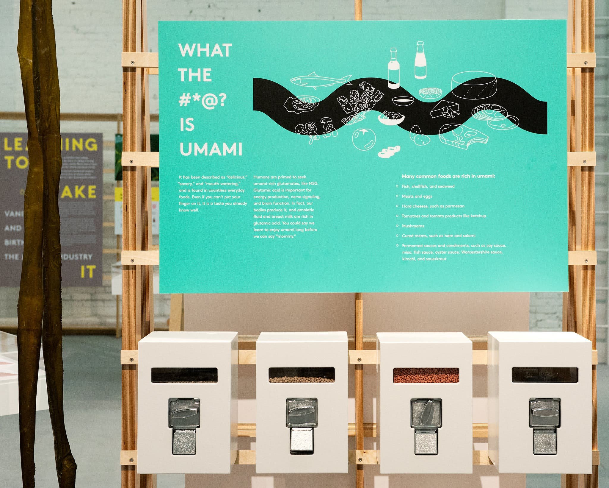 MOFAD Museum of Food and Drink Flavor exhibit installation view designed by Wyeth Hansen and Ryan Dunn of Labour