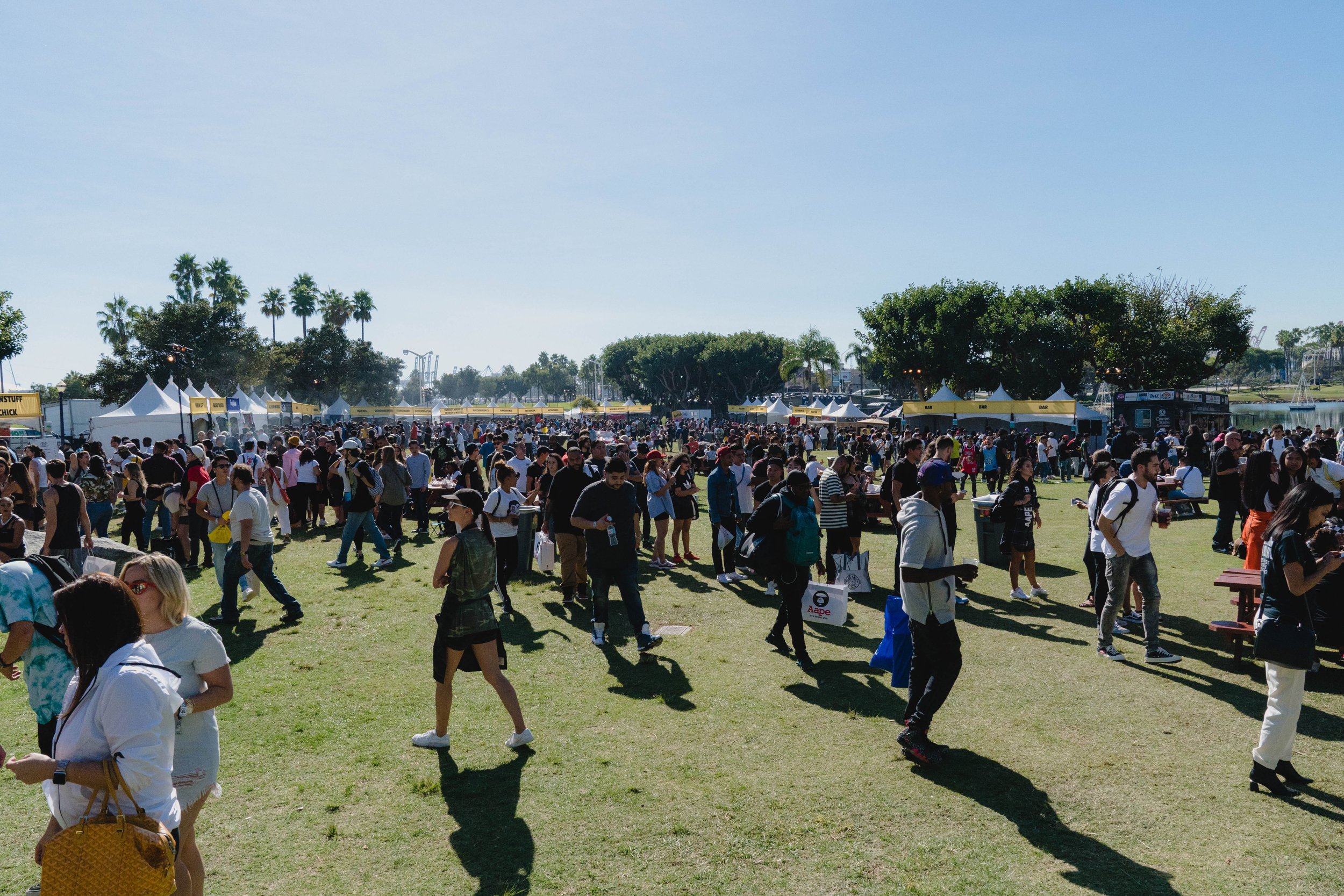 cc2018-Crowd-AnthonyLu-7.jpg