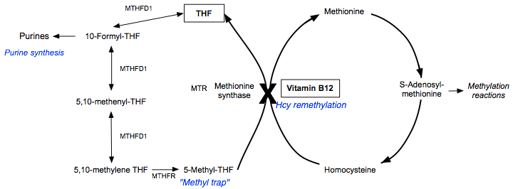 b12.jpg