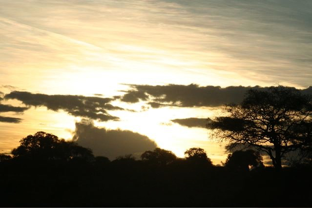 sunset.jpg