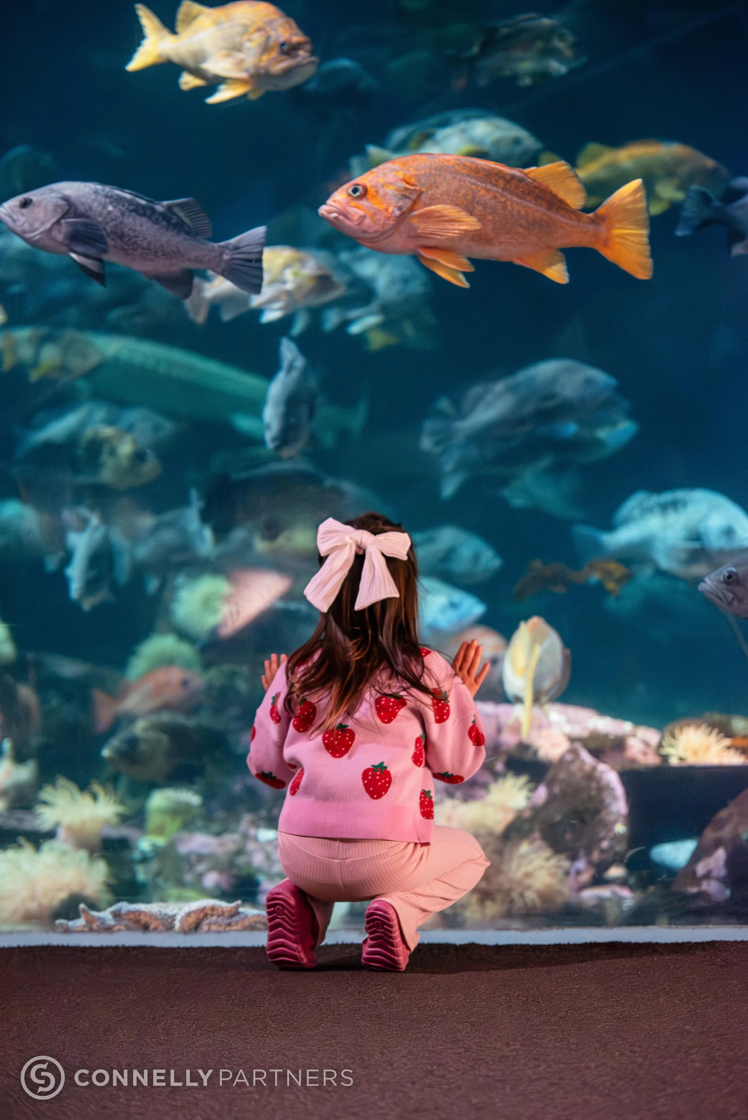destination-vancouver-aquarium-photography.jpg