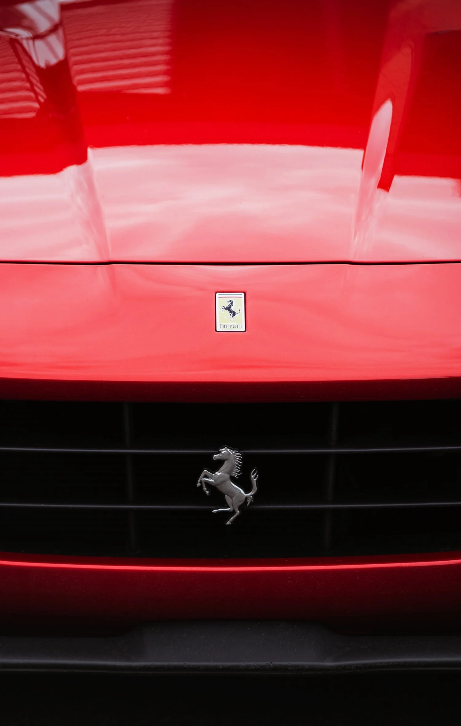 07-ferrari-red-prancing-horse-grille-detail.jpg