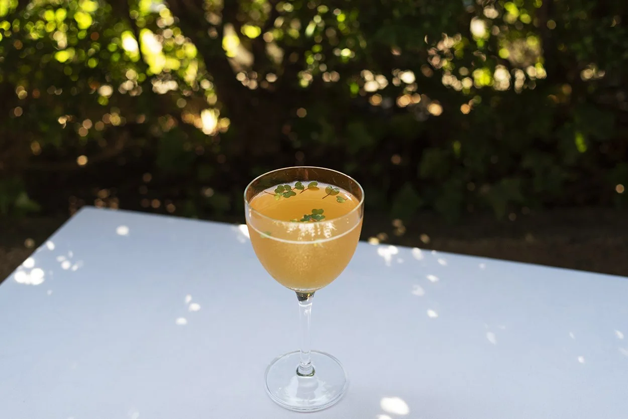 09-garden-cocktail-gold-coupe-dappled-light.jpg