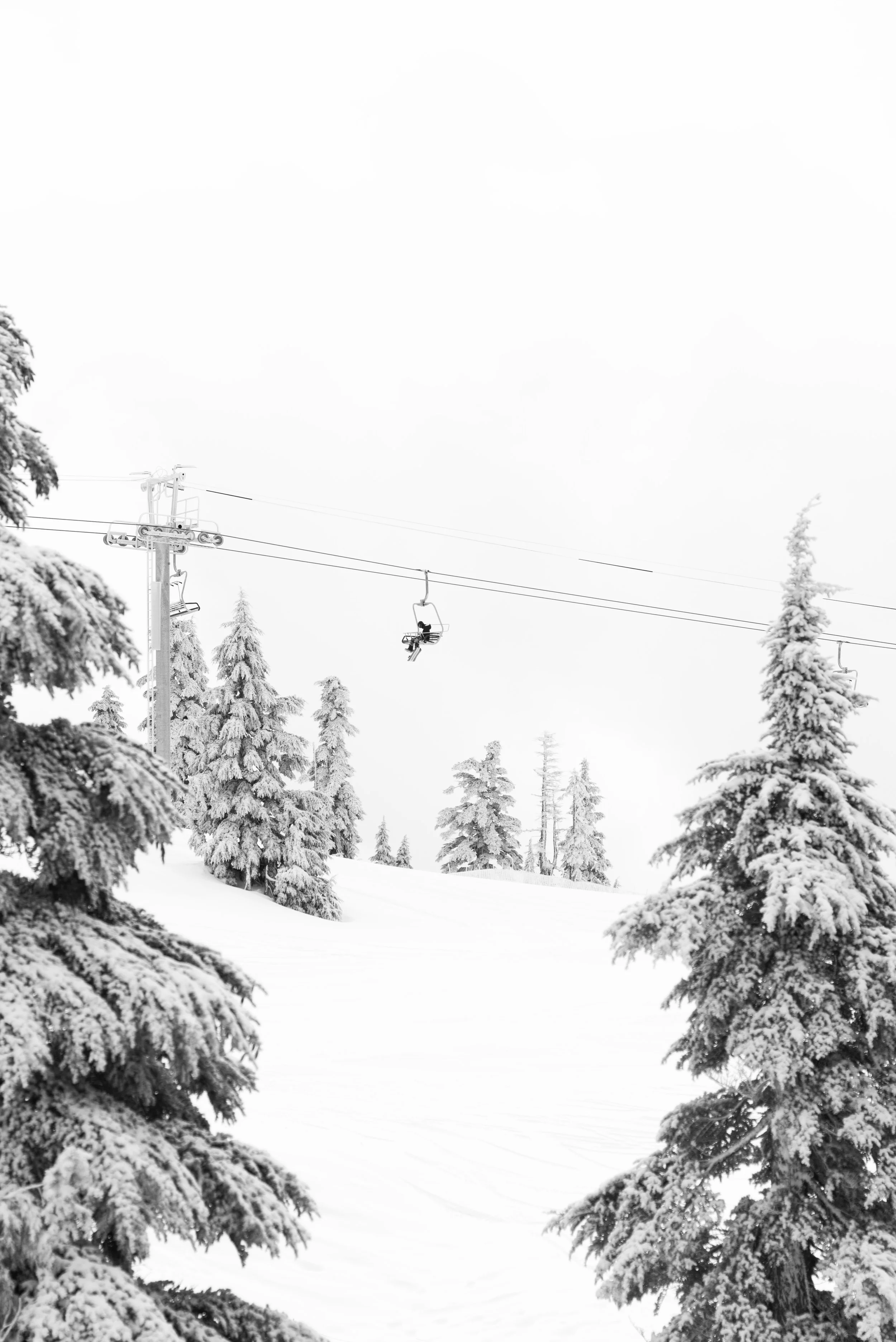 26-whistler-ski-resort-gondola-snowy-forest.jpg