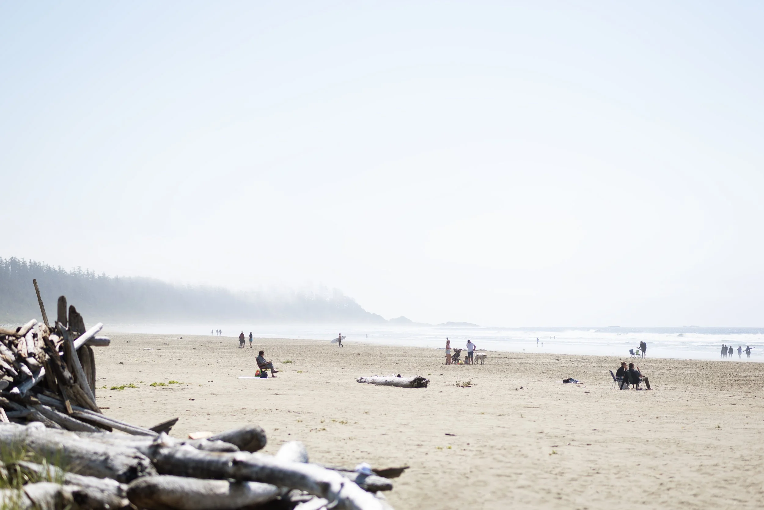 12-tofino-long-beach-driftwood-surfers-misty.jpg