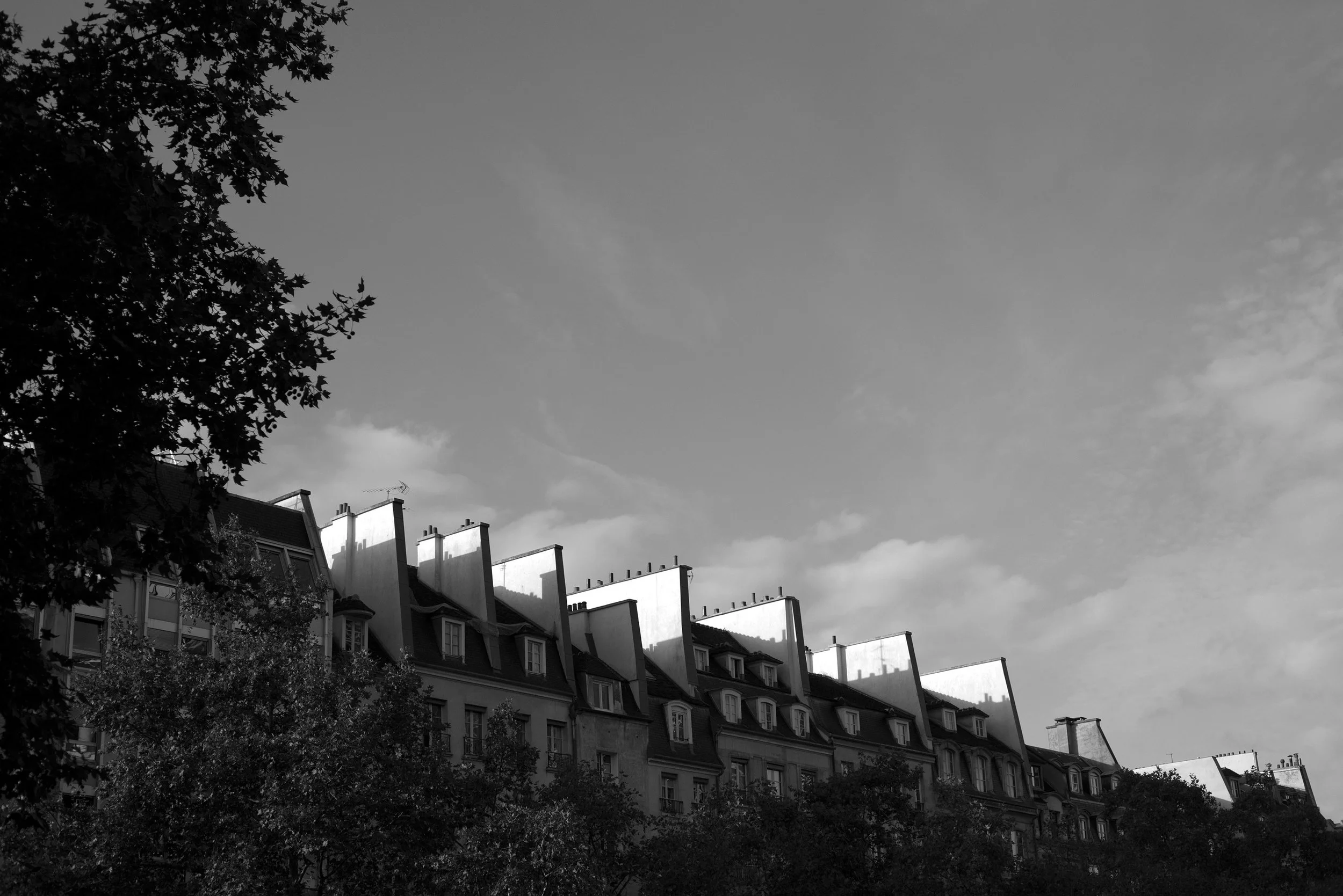 29-paris-haussmann-rooftops-mansard-black-white.jpg
