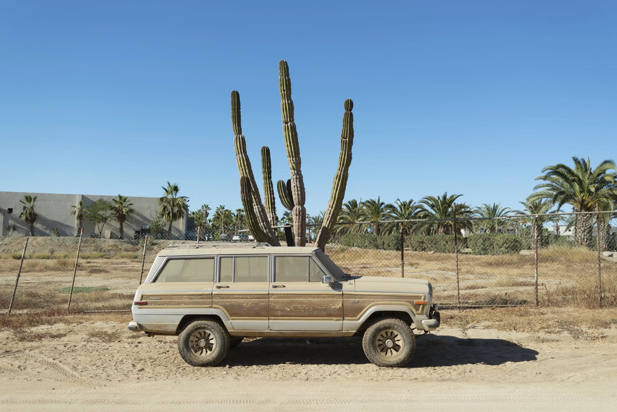 25-baja-cerritos-vintage-truck-desert-cactus.jpg
