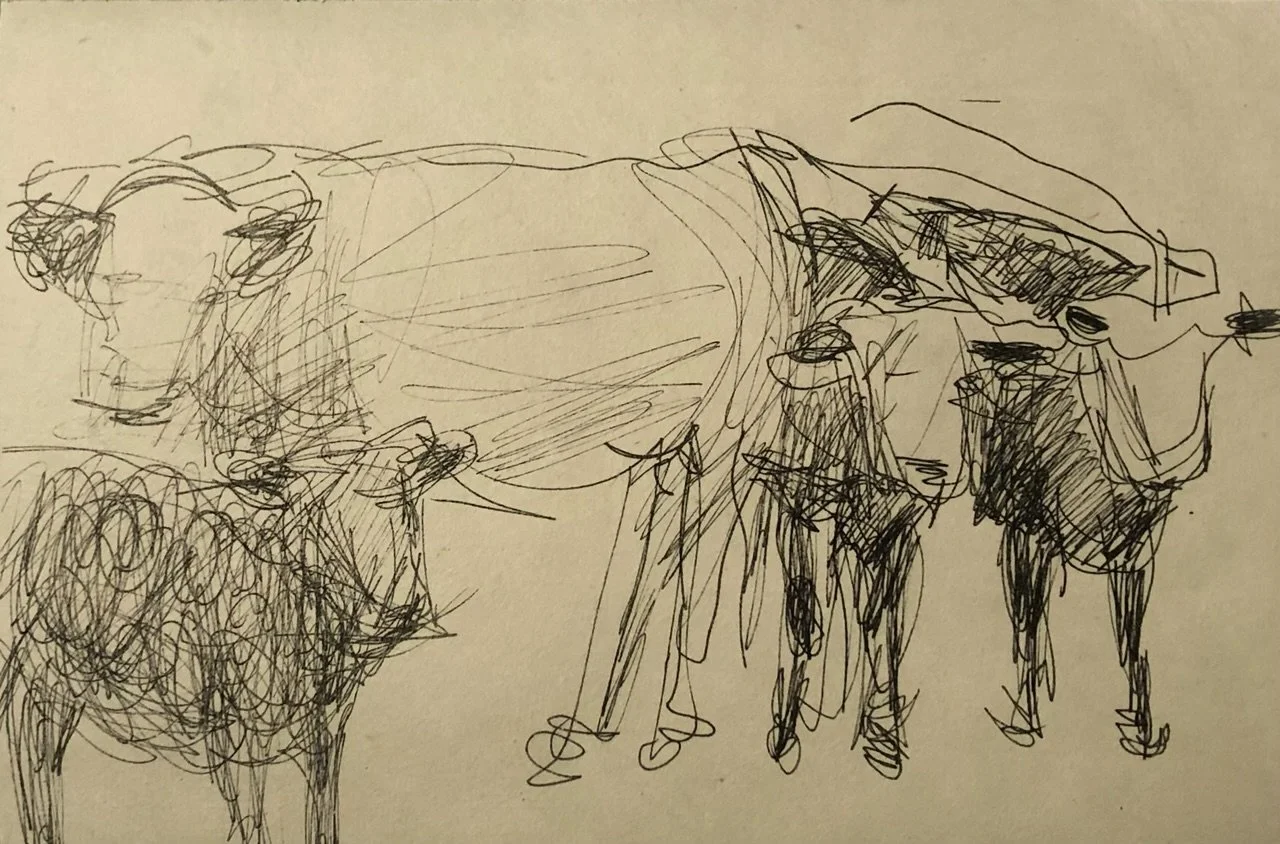 Cows_etching_6.5x9.5.jpeg