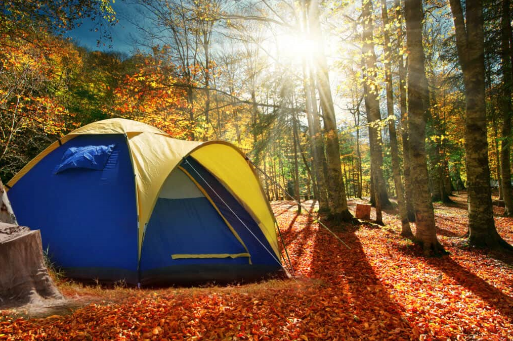 Fall camping picture.png