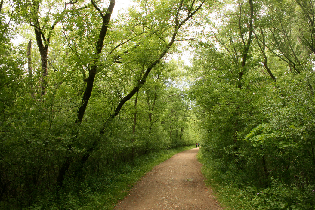 Hiking Trail.png