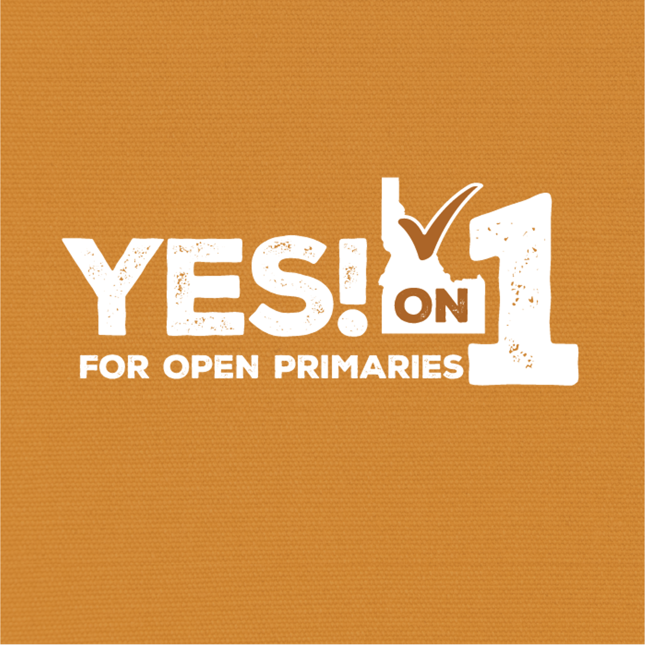Idaho Secretary of State Confirms Open Primaries Initiative on November Ballot