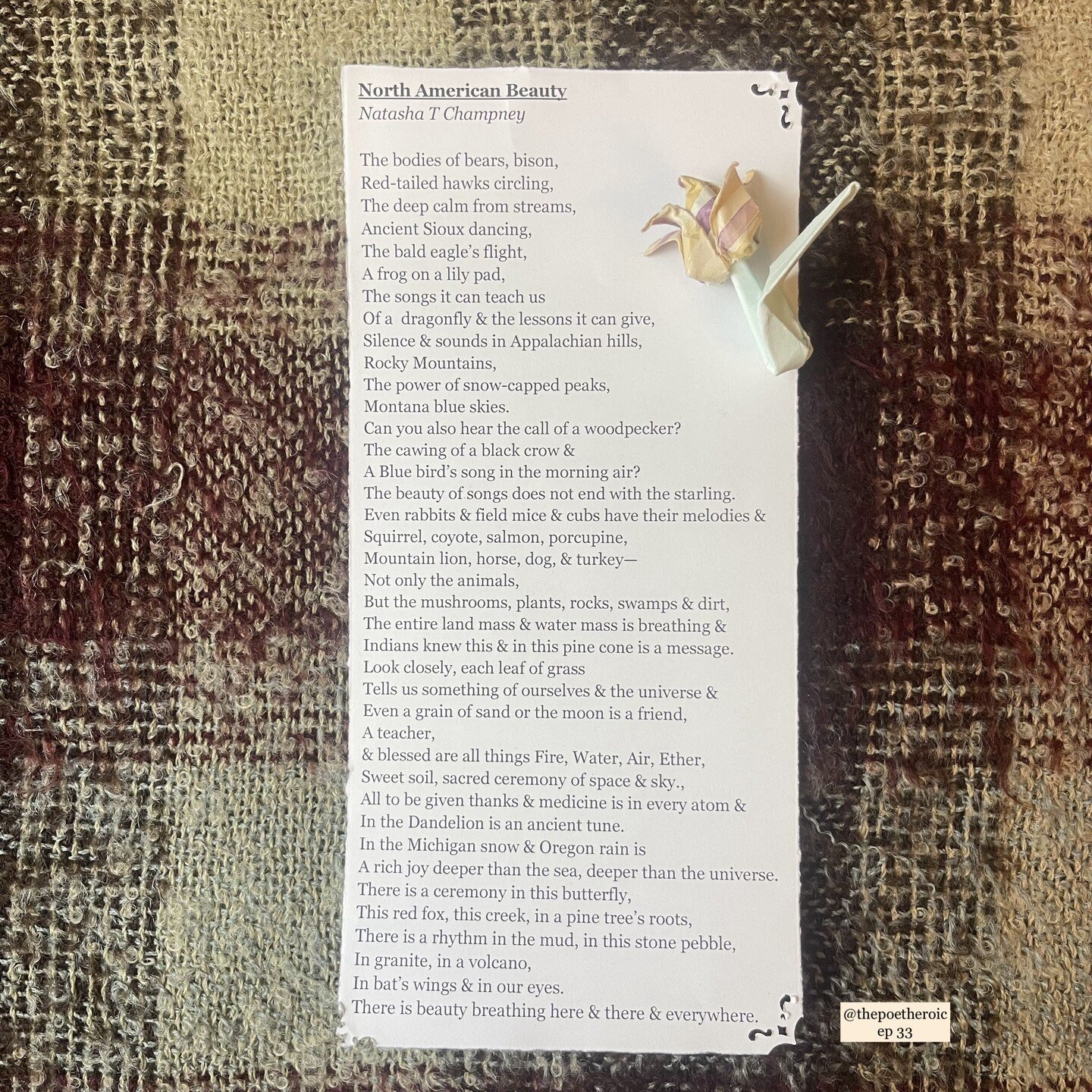 &ldquo;North American Beauty&rdquo;
By: Natasha T Champney

read on episode 43

#poetry #poetrycommunity #writersofinstagram #poem #poet #writer #poetsofinstagram #poems #writing #poetrylovers #writersofig #poets #poetic #literary #poetical #thepoeth