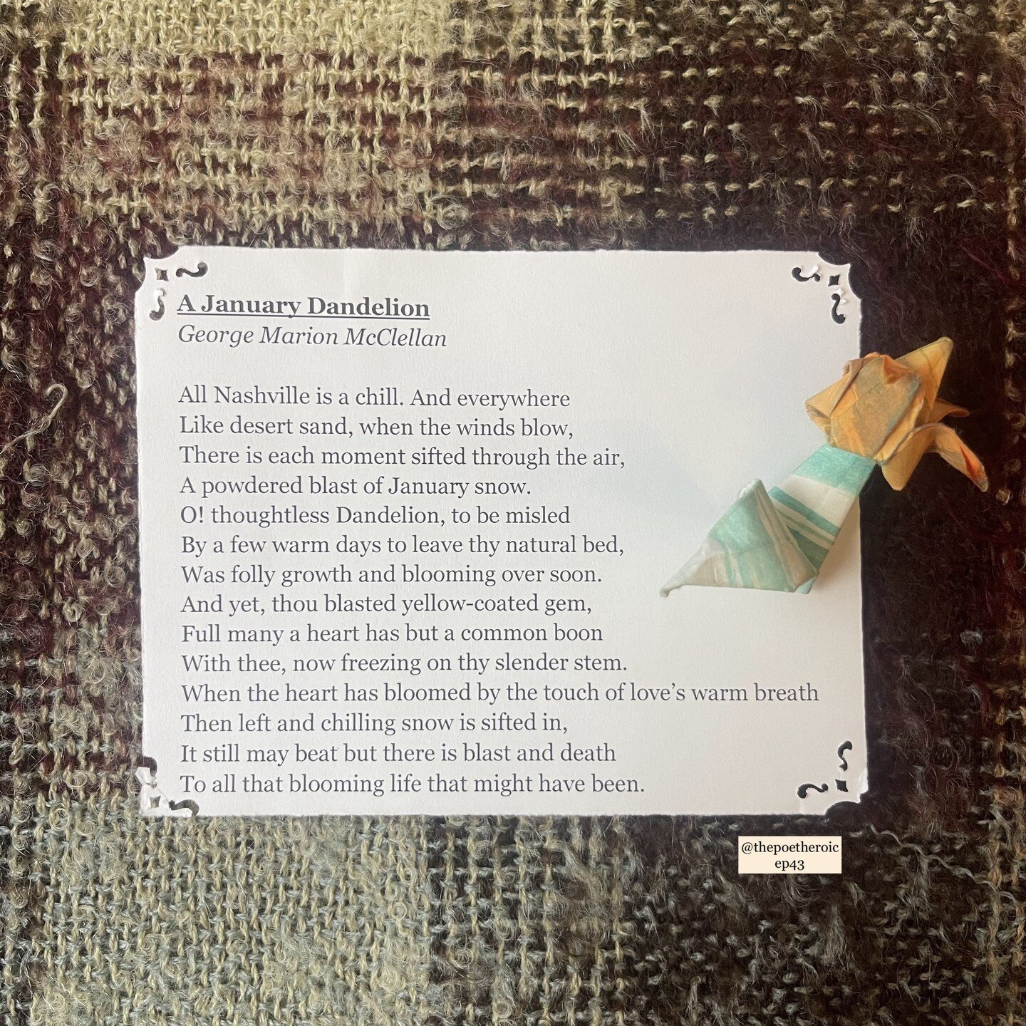 &ldquo;A January Dandelion&rdquo;
By: George Marion McClellen
read on episode 43 of #thepoetheroic

#poetry #poetrycommunity #writersofinstagram #poem #poet #writer #poetsofinstagram #poems #writing #poetrylovers #writersofig #poets #poetic #literary