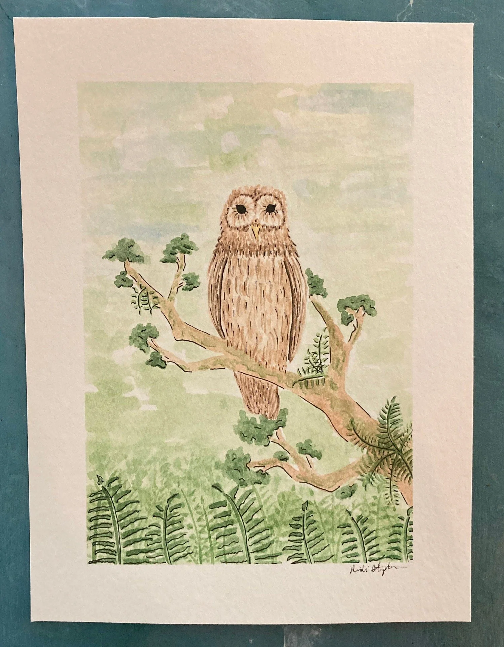 https://i.etsystatic.com/24393965/r/il/86102d/4742477867/il_fullxfull.4742477867_7kwe.jpg