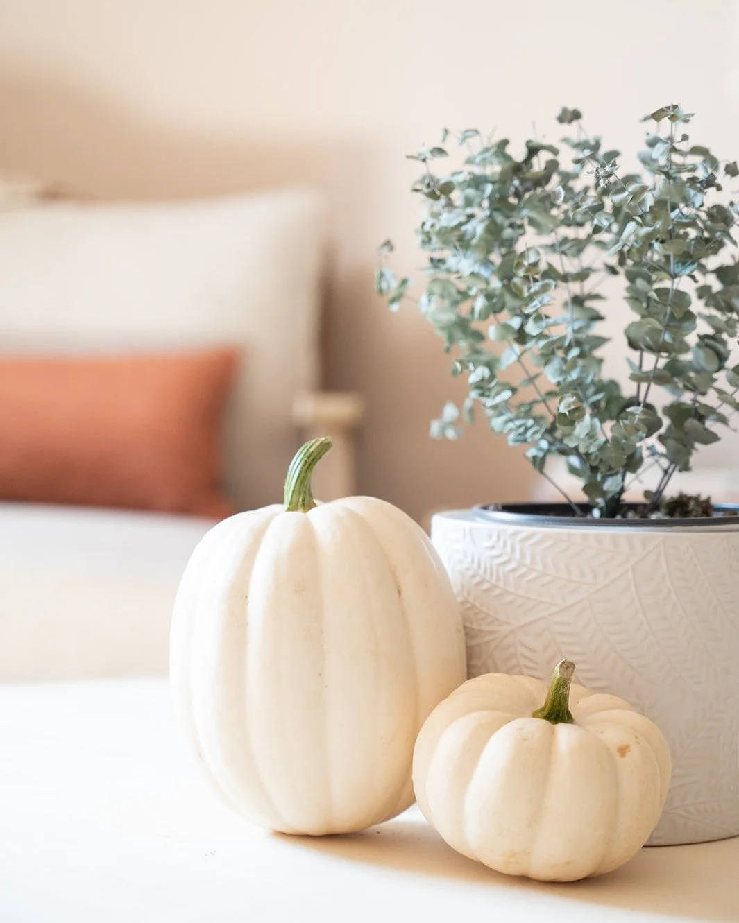 With the leaves starting to fall, and the air getting cooler, it may be time to start thinking about adding some richer, more hydrating products to your regime. 

Book a free consult with us to come and discuss more suitable fall/winter options.