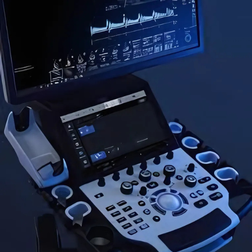 Home Page Image Video (5).png