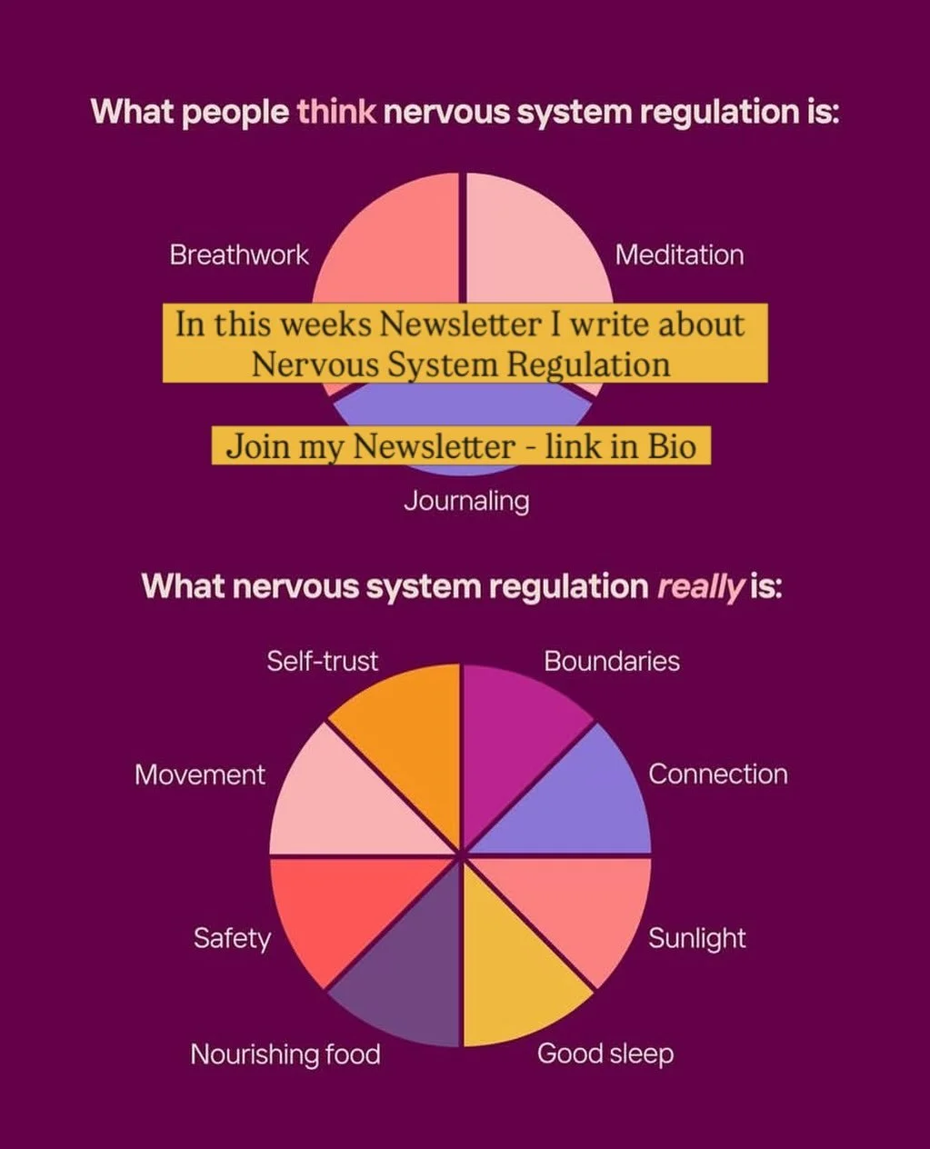 Subscribe to my Newsletter : Link in Bio