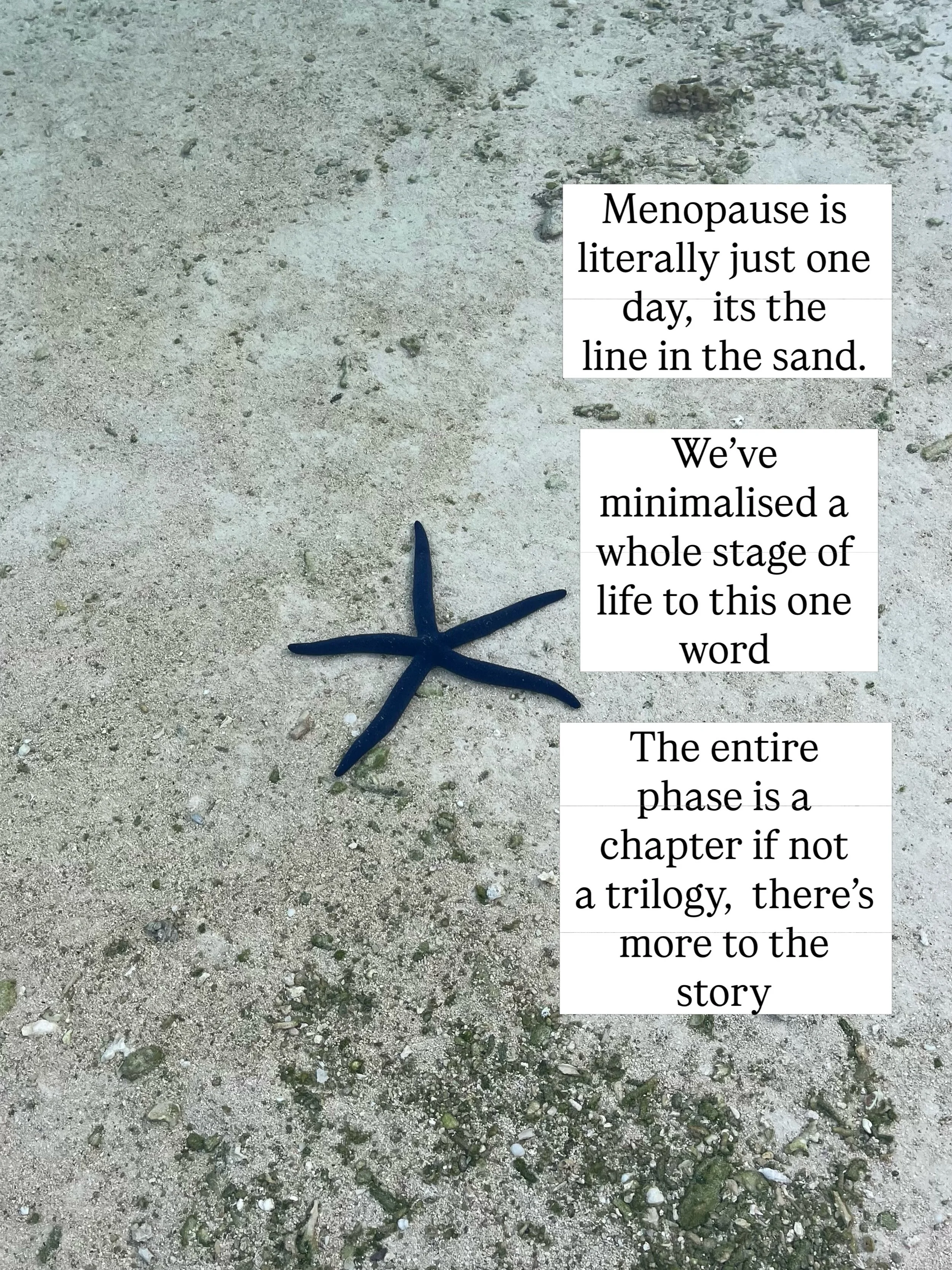 Get excited Ladies - there&rsquo;s more to the story and it&rsquo;s not all gloom and doom.  It&rsquo;s a matter of understanding the changes in your body and creating sustainable lifestyle change. 

Join The Menopause Shift,  6 weeks,  6 ++ hours of