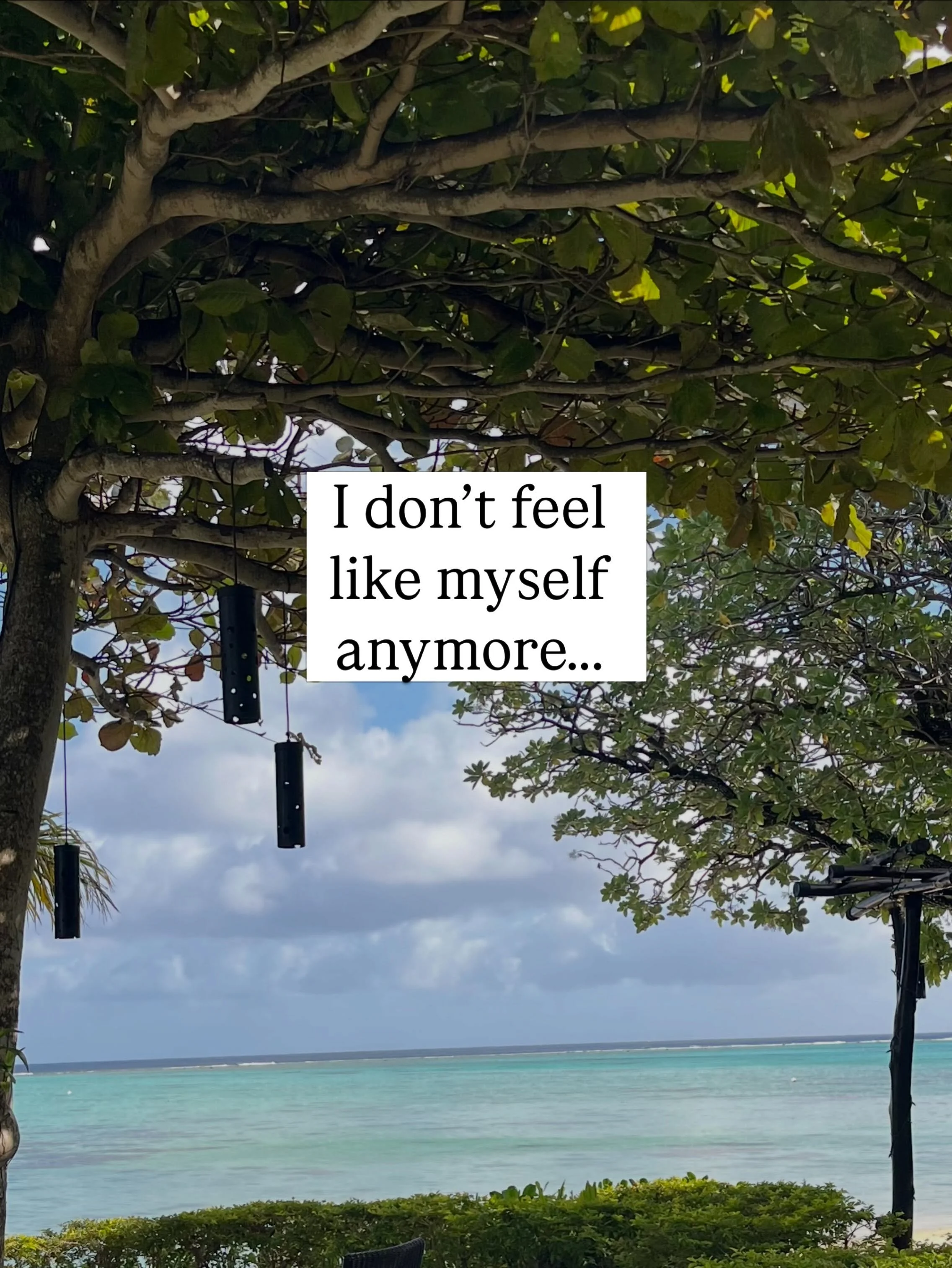 &lsquo;I don&rsquo;t feel like myself anymore&rsquo;

Maybe you&rsquo;ve said this quietly to yourself

You&rsquo;re constantly tired
Your body feels different
Your confidence may have taken a hit
Your emotions are erratic
And along the way, you feel