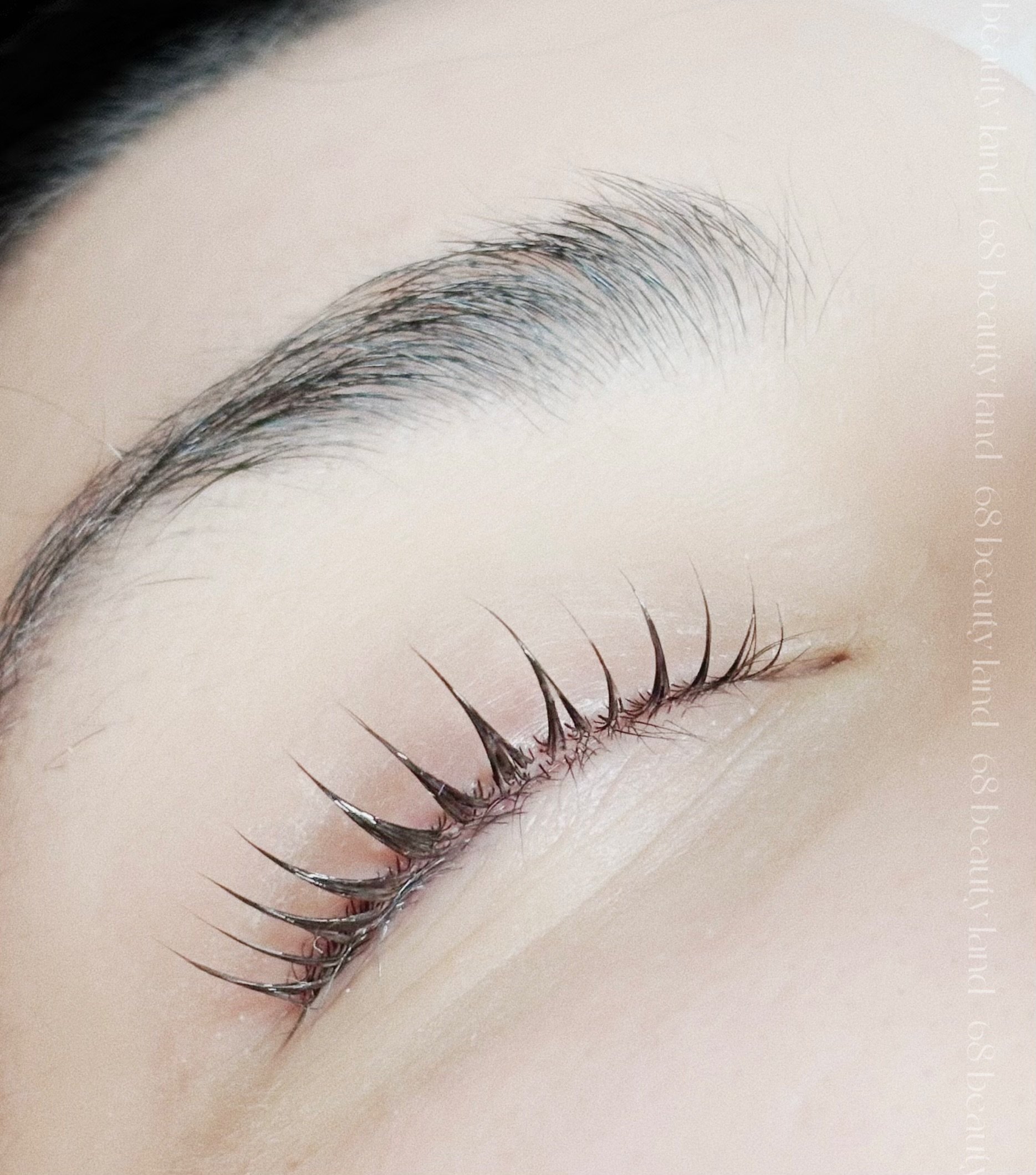 Best Lash Lift Perm in Santa Clara.jpeg
