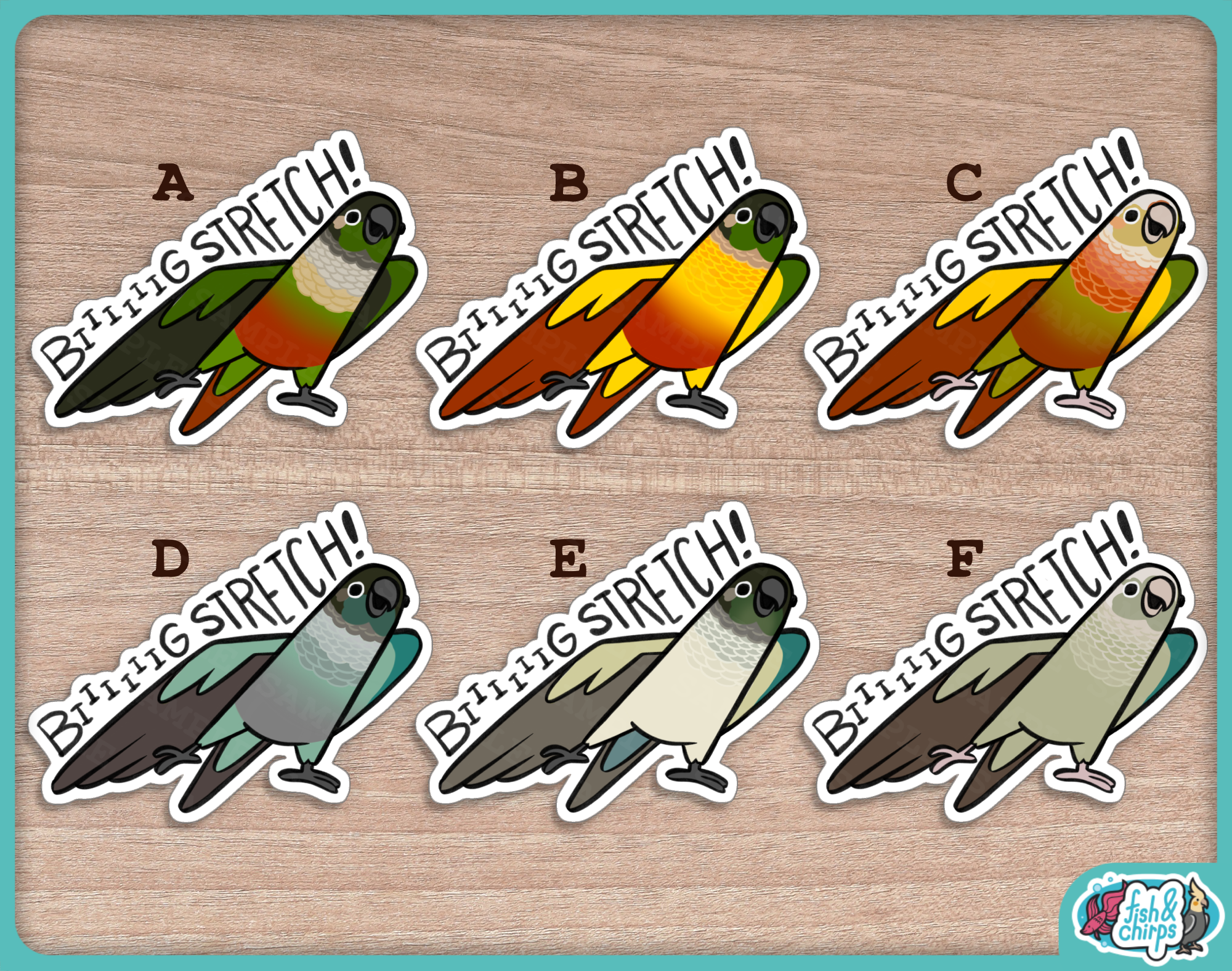 pyr conure stretch letters fixed.png
