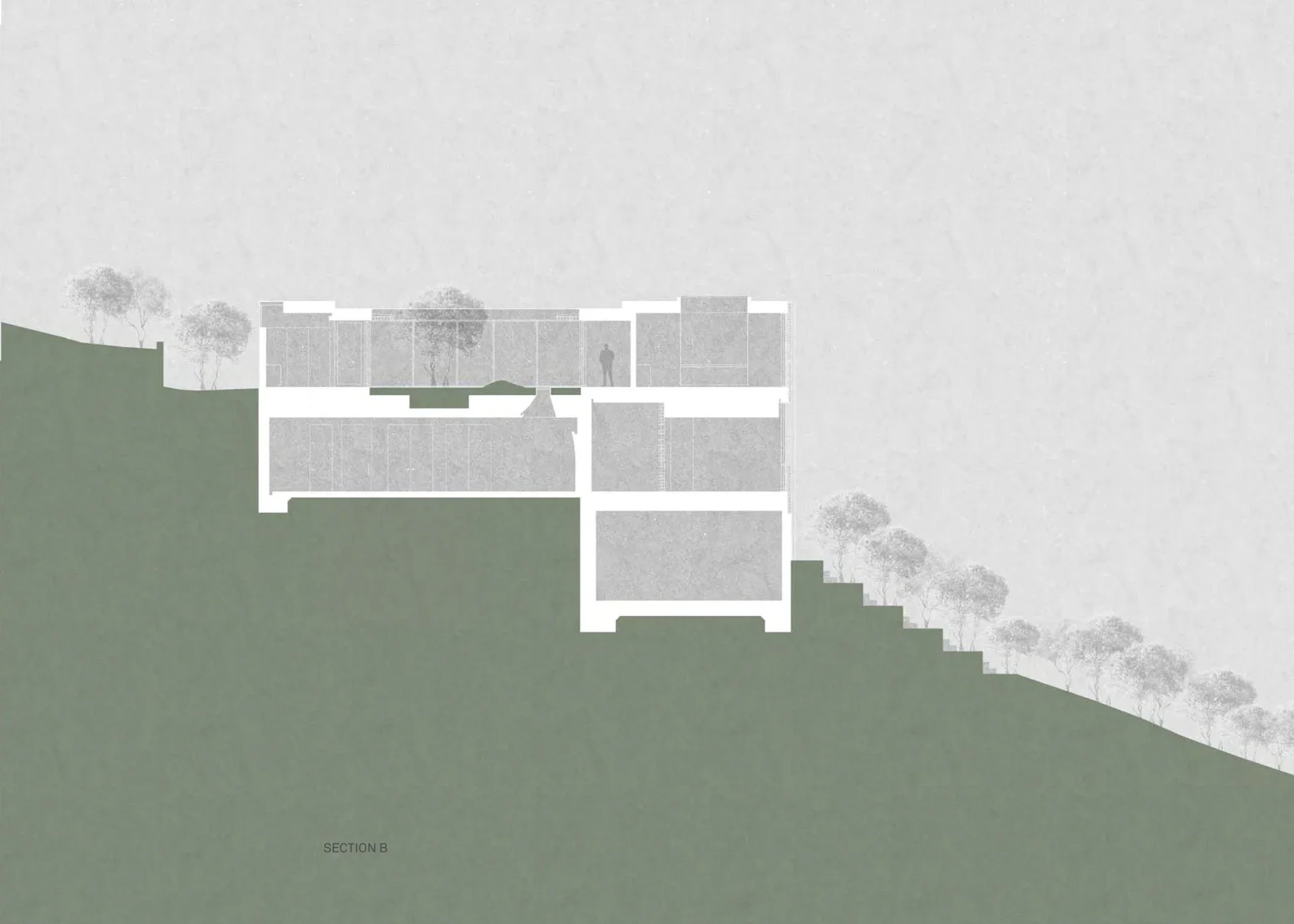 section.webp