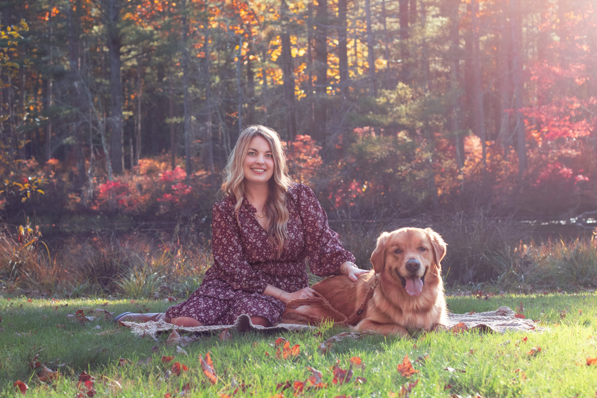 Family dog portrait photography Ware Ma Portraits By Heather Egan