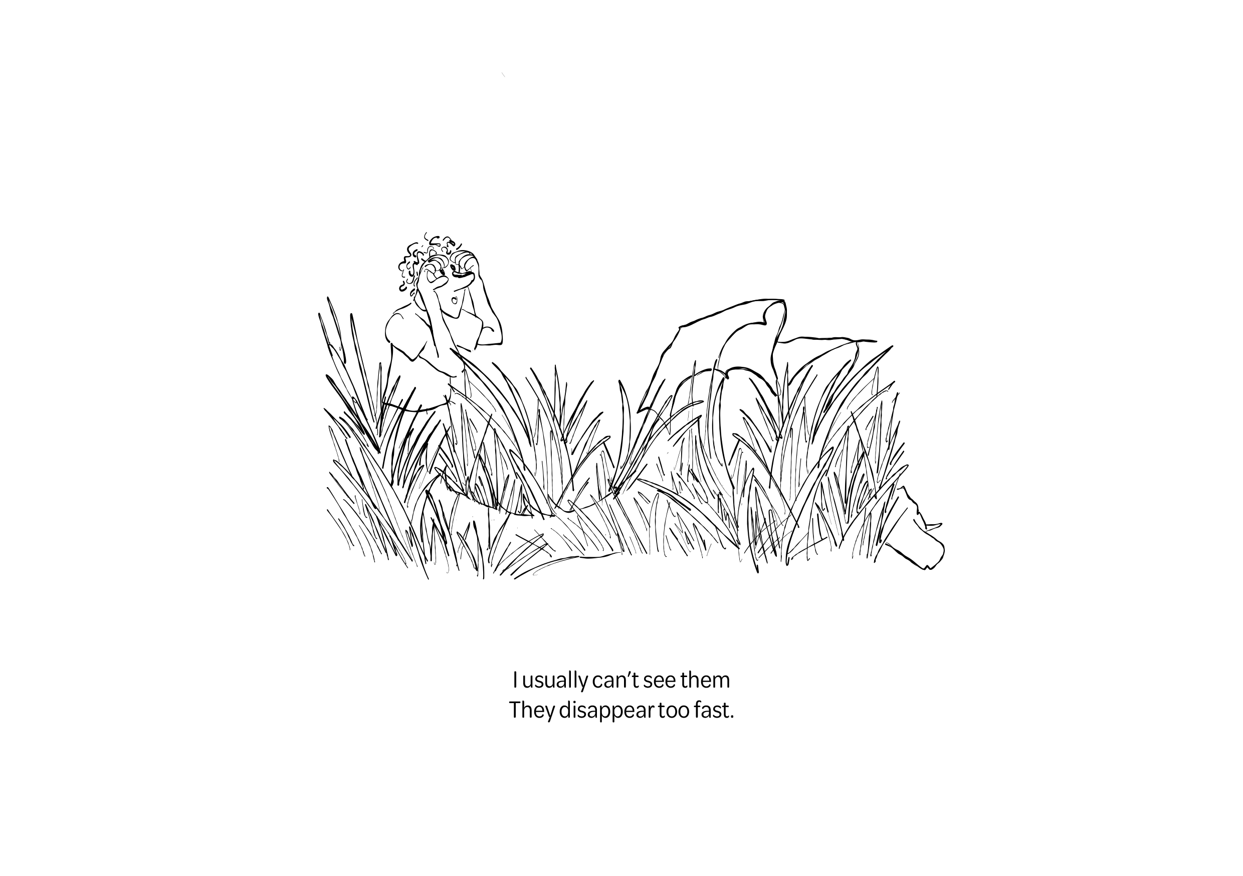 Booklet5.png