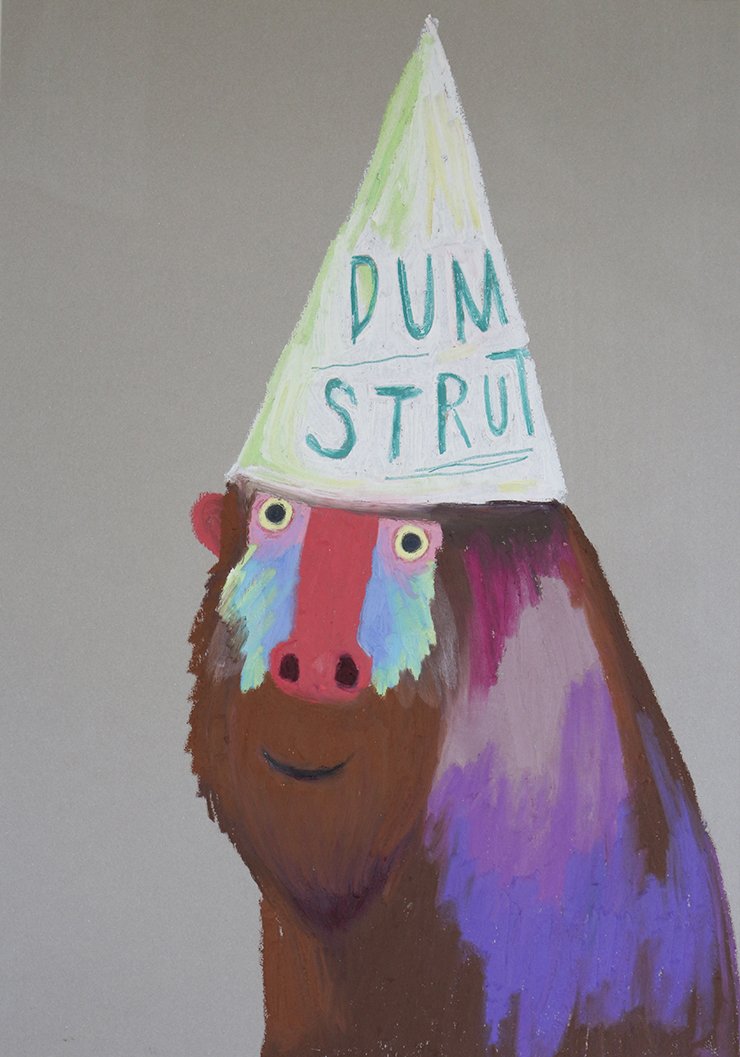 dumstrut2.jpg