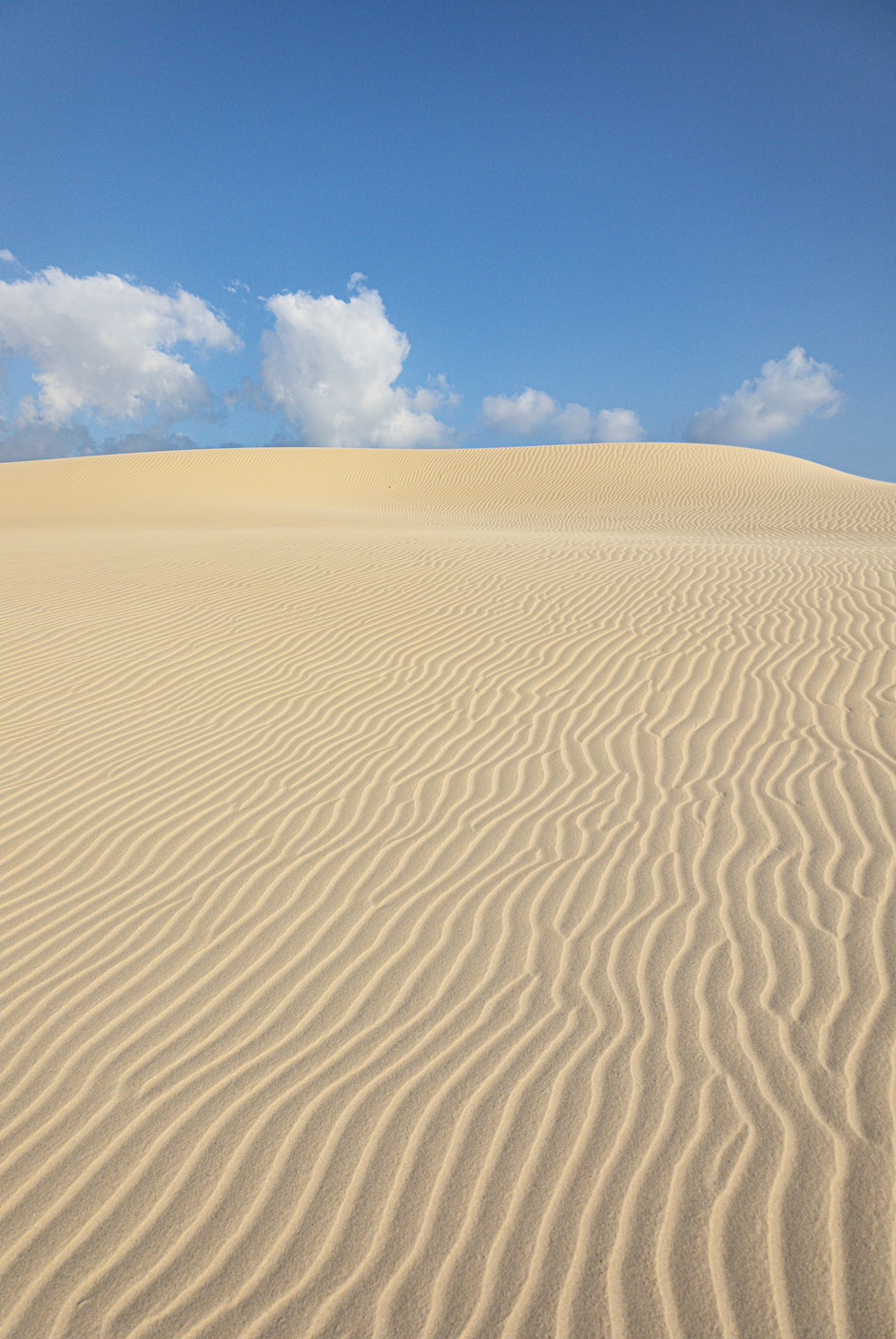 Sand dunes with ripples under a clear blue sky with scattered clouds.
