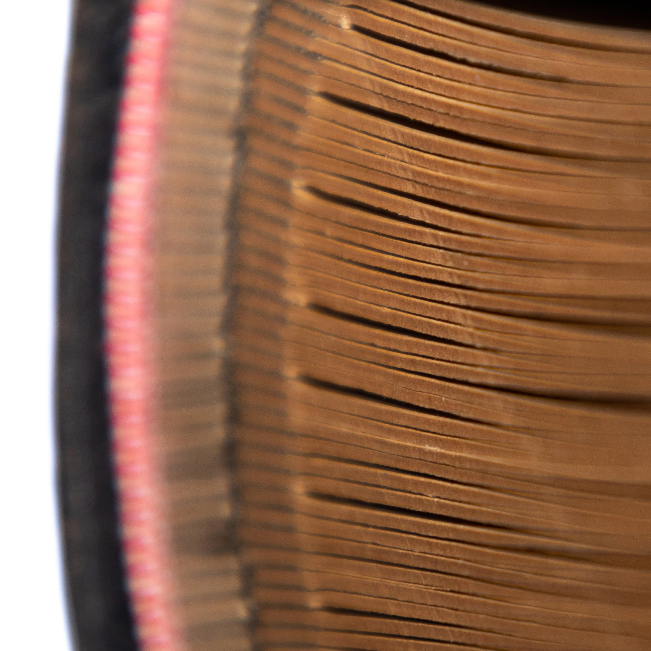 P3_zoom_1x1.jpg