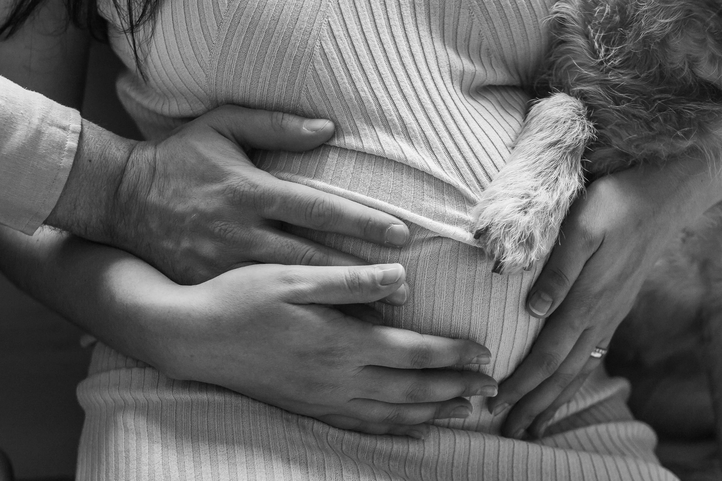 Close-up of a person's hands holding a small fuzzy dog lying on their chest, with the person wearing a striped shirt.