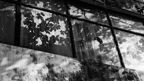 Delhi University &amp; the Rise of a Necropolis