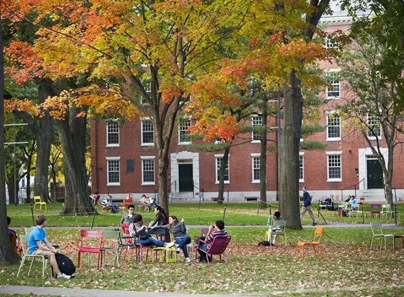 Harvard student groups issued an anti-Israel statement. CEOs want them blacklisted