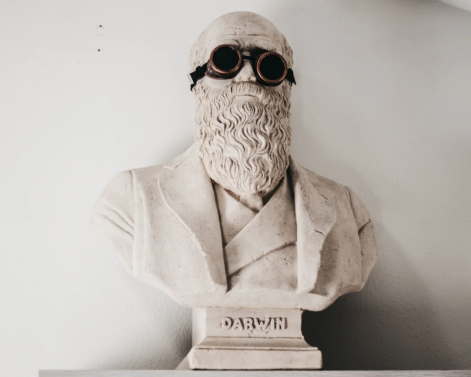 Pakistan professor apologises for teaching theory of evolution&nbsp; 