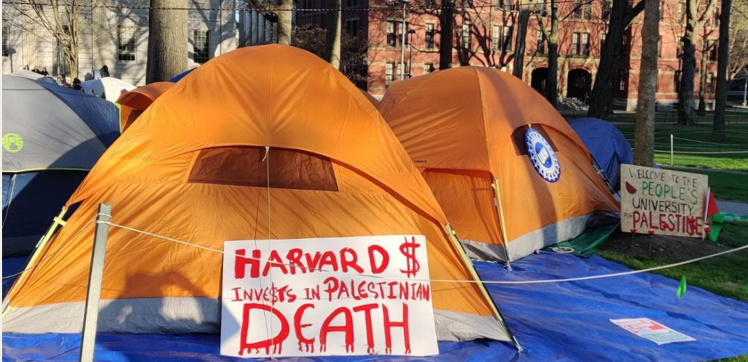 ‘Azadi For Palestine’: University Campuses Across the West Erupt in Protests Not Seen Since 1968