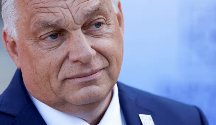 Why Fascists Hate Universities