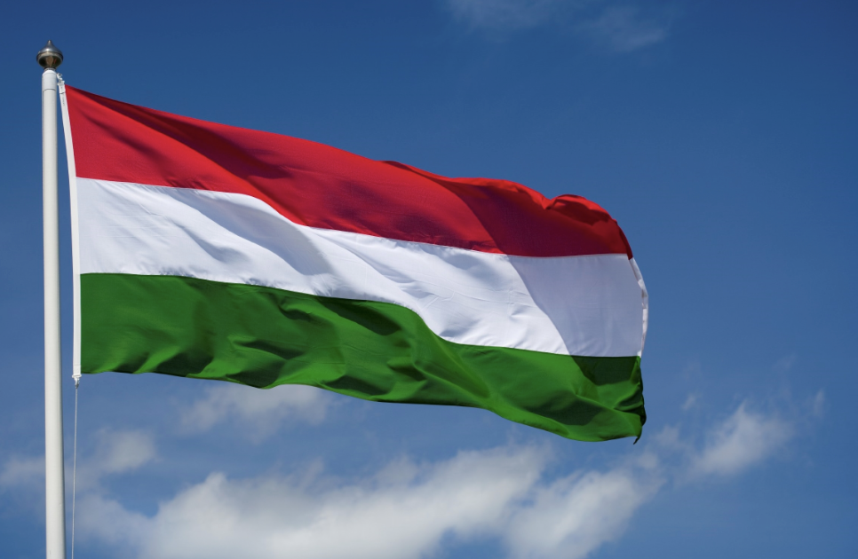 How the Destroyers of Academic Freedom Masquerade Themselves as Its Victims