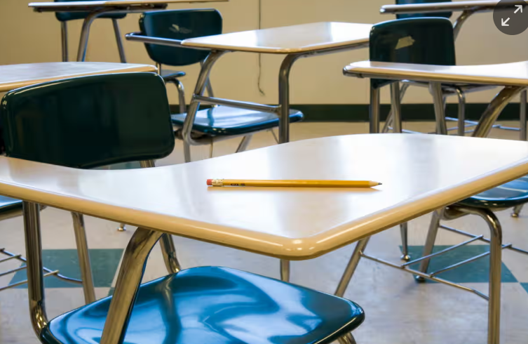 Musk’s ‘Doge’ Guts Nearly $1bn in US Education Department’s Research Office