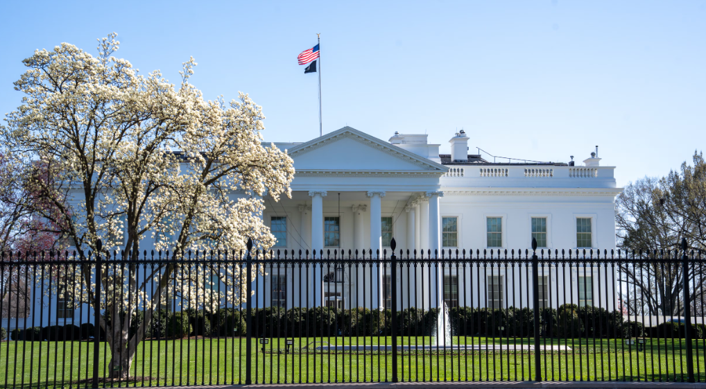 AAUP, American Federation of Teachers Sue Trump Administration over Columbia Federal Funding Cuts