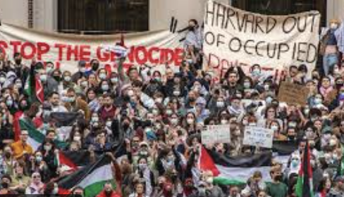 Kashmiri Student’s US Visa Revoked by ICE over Pro-Palestine Activism