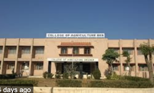 Rajasthan Faces Academic Turmoil as Five University Vice-Chancellors Ousted amid Protests