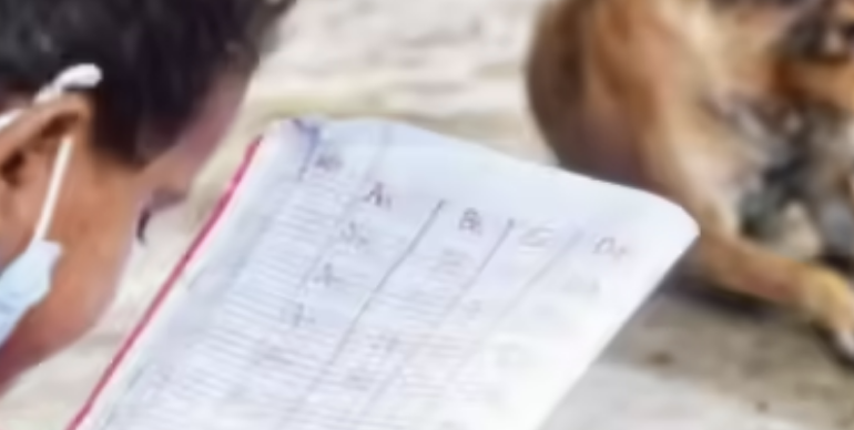 Who Guards the School Gate? The Stray-Dog Row That Put Teachers on the Hook; Here’s Why They’re Pushing Back