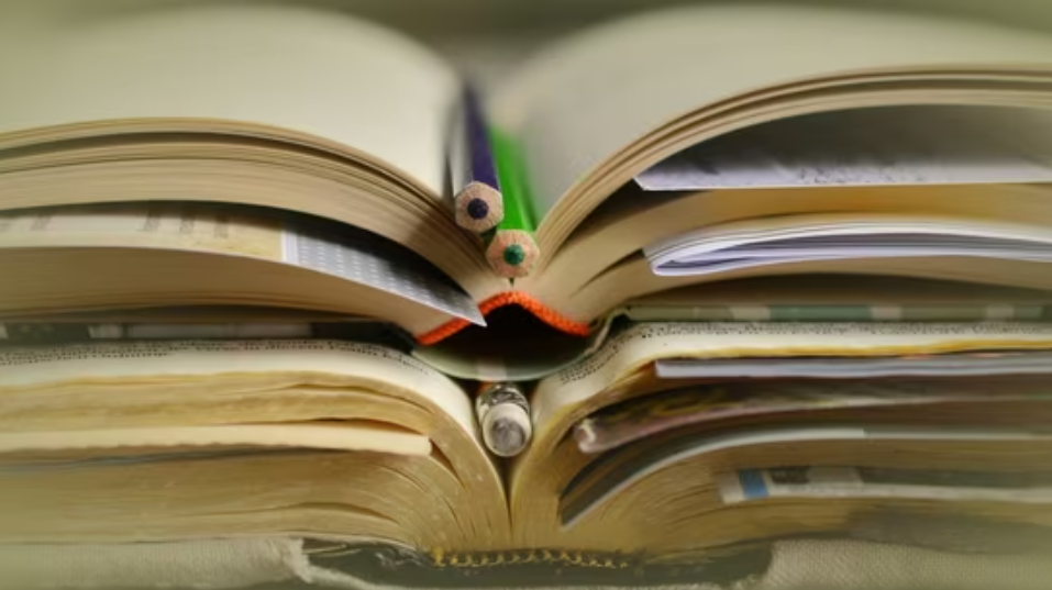 Teachers' Outfit Writes to VC against Proposed Renaming of Dyal Singh (Evening) College