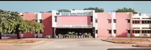 IKS To Be Integrated Across Subjects, Says UGC Officials 