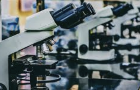 How a Dikshitar Celebration at IIT Madras Turned Into a Platform for Pseudoscience