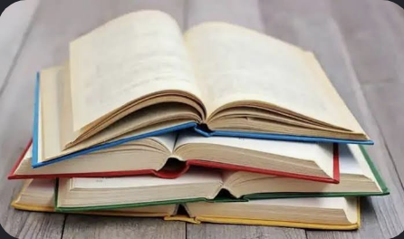NCERT’s New Social Science Textbook for Class 9 Has SIR, More Details on Emergency