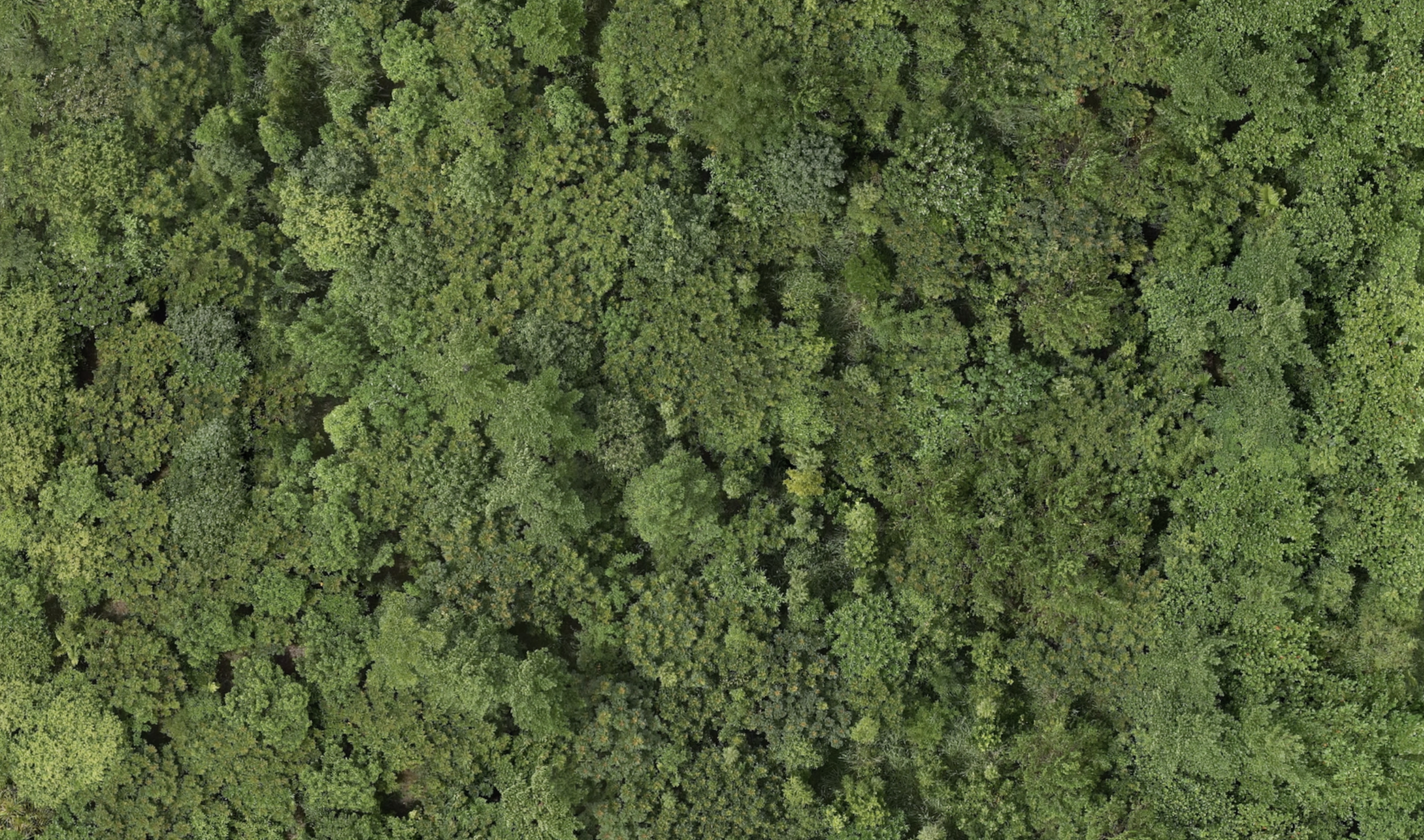 Screenshot 2026-04-01 at 8.51.39 am.png