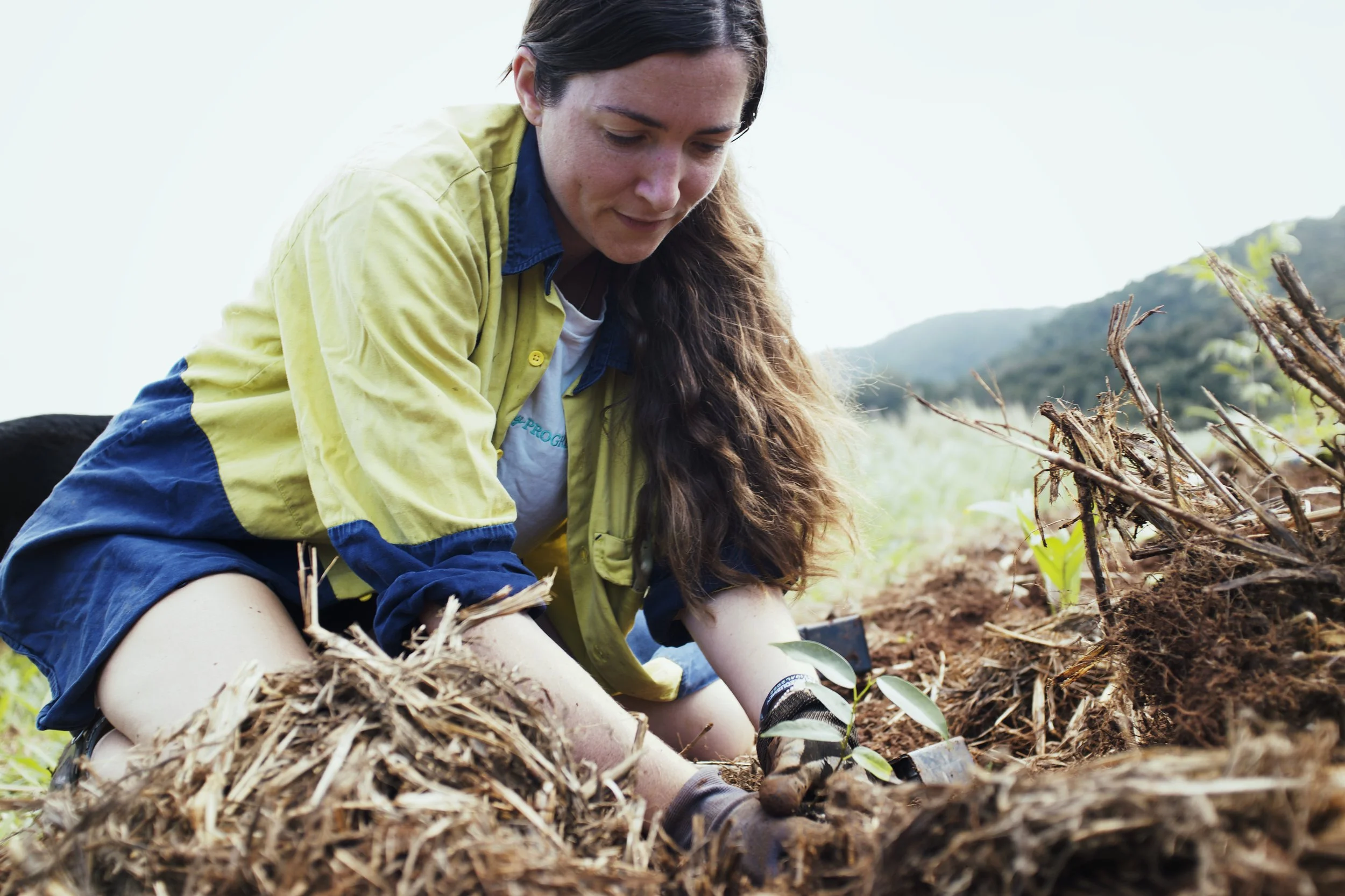 MOJO4168 38 Edited (1).JPG